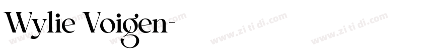 Wylie Voigen字体转换